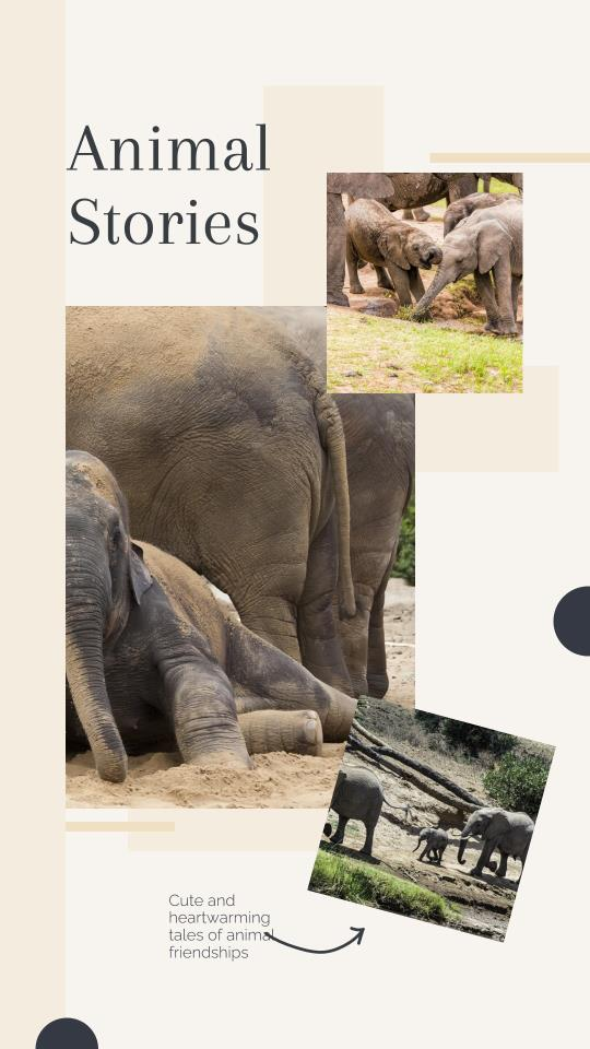 stories about animals