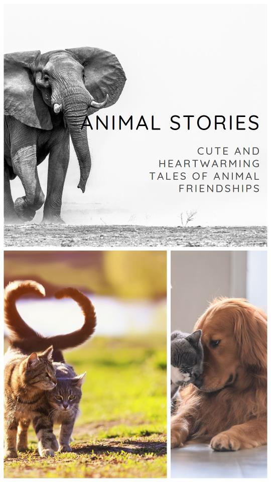 stories on animals