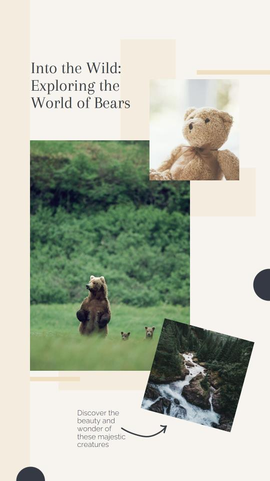 stories about bears