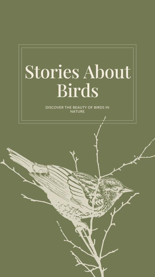 Stories about Birds