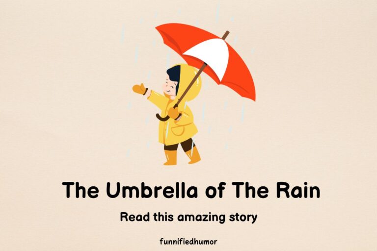 The Umbrella of The Rain